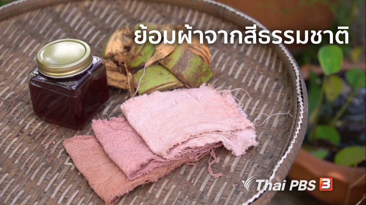 ลุยไม่รู้โรย - ห้องเรียนสูงวัย : ย้อมผ้าจากสีธรรมชาติ