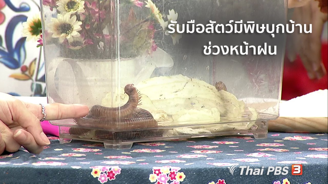 นารีกระจ่าง - นารีสนทนา : รับมือสัตว์มีพิษบุกบ้าน ช่วงหน้าฝน