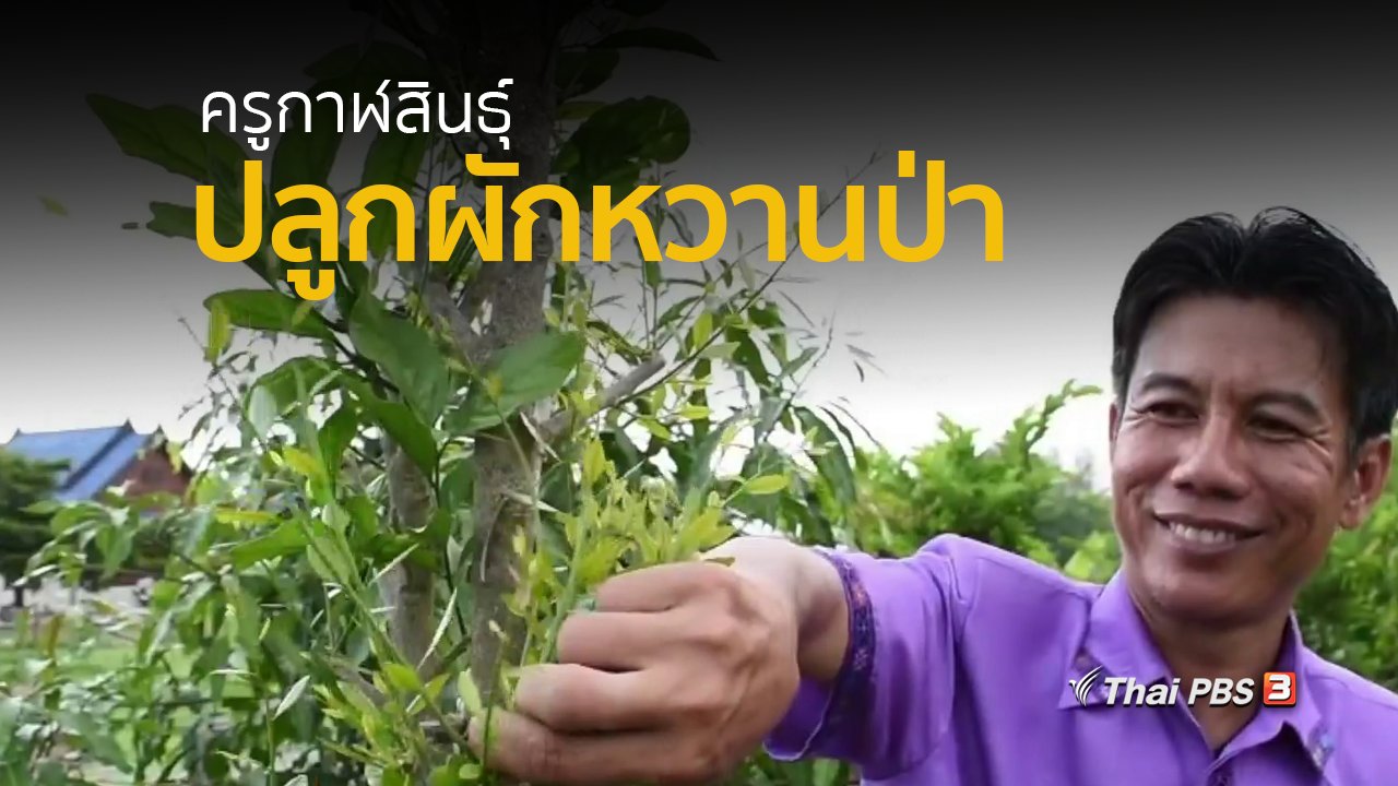 ทุกทิศทั่วไทย - อาชีพทั่วไทย : ครูกาฬสินธุ์ปลูกผักหวานป่าเตรียมพร้อมก่อนเกษียณ