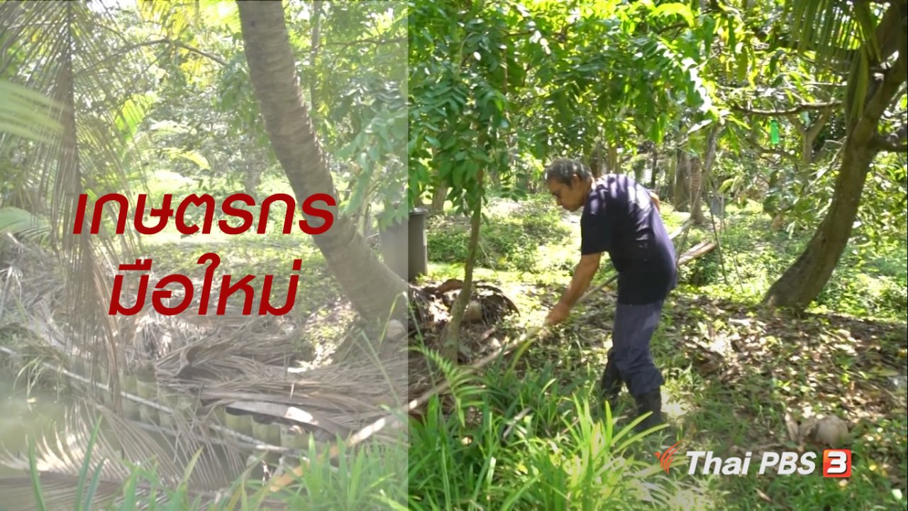 ลุยไม่รู้โรย - สูงวัยไทยแลนด์ : เกษตรกรมือใหม่