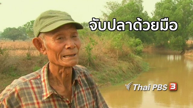 ตะลุยทั่วไทย จับปลาด้วยมือ