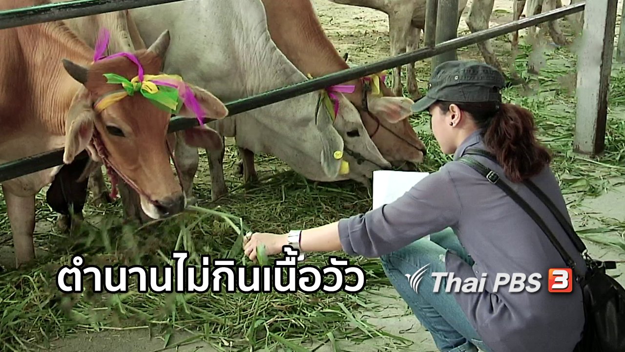 ไทยบันเทิง - เรื่องนี้มีตำนาน : ตำนานไม่กินเนื้อวัว