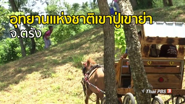 ชุมชนทั่วไทย : เที่ยวอุทยานแห่งชาติเขาปู่เขาย่า จ.ตรัง