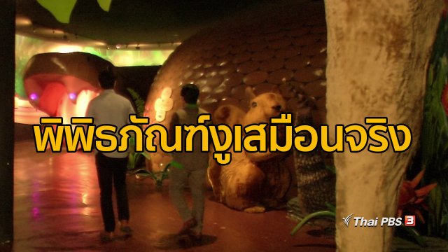 ชุมชนทั่วไทย : พิพิธภัณฑ์งูเสมือนจริง