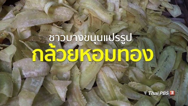 ชุมชนทั่วไทย : ชาวบางขนุนแปรรูปกล้วยหอมทอง
