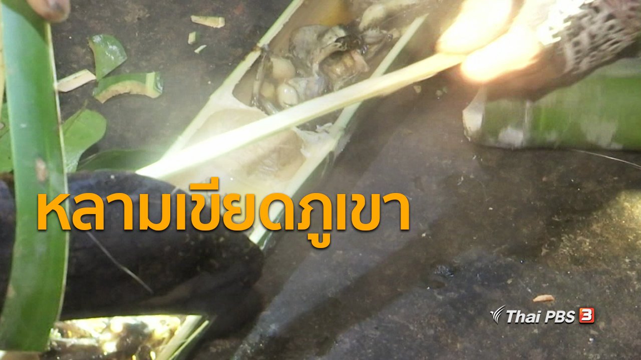 ทุกทิศทั่วไทย - วีถีทั่วไทย : หลามเขียดภูเขาใส่ยอดคอนแคน