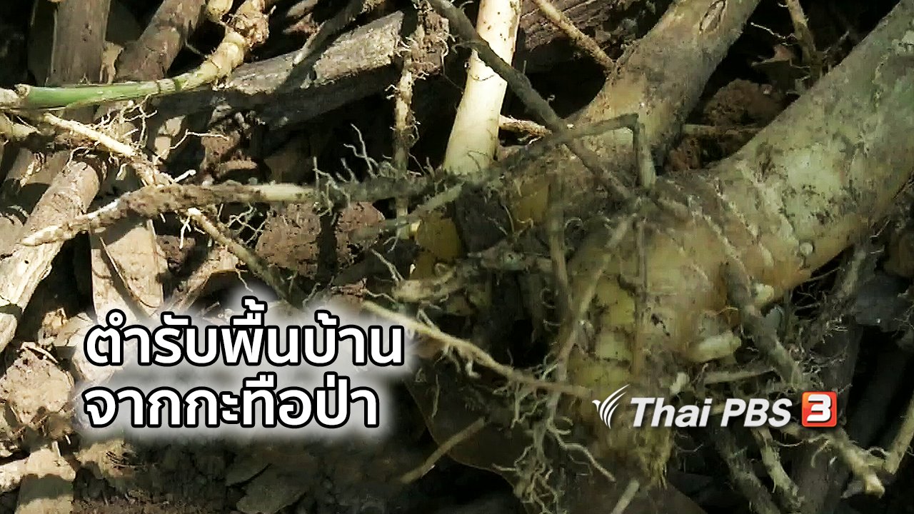 ไทยบันเทิง - อิ่มมนต์รส : เปิดตำรับพื้นบ้านจากกะทือป่า