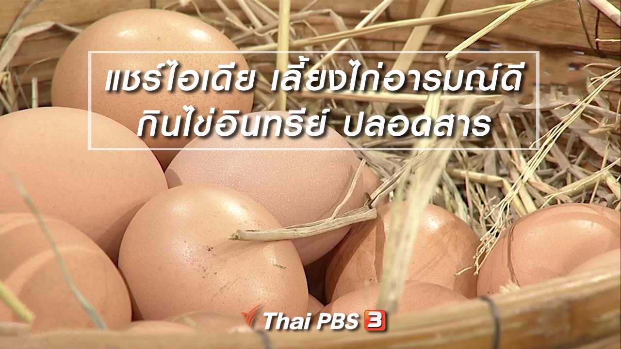 นารีกระจ่าง - นารีสนทนา : แชร์ไอเดีย เลี้ยงไก่อารมณ์ดี กินไข่อินทรีย์ ปลอดสาร