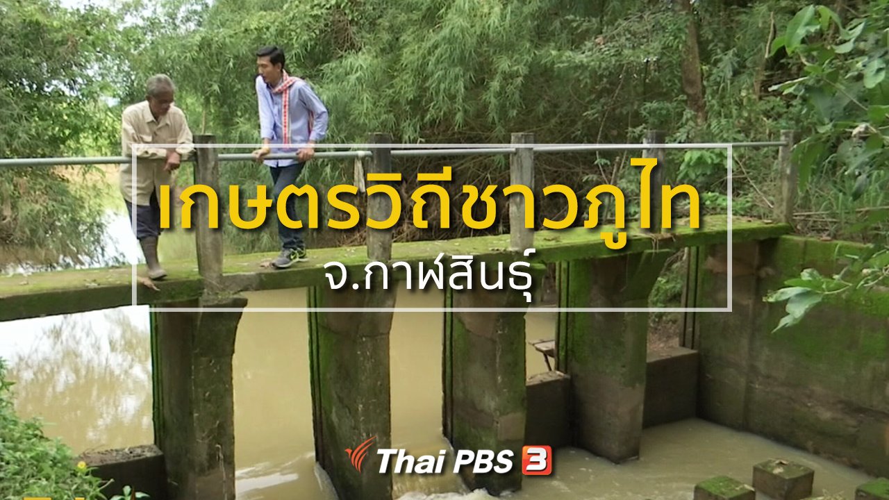ทุกทิศทั่วไทย - อาชีพทั่วไทย : เกษตรวิถีชีวิตภูไท จ.กาฬสินธุ์