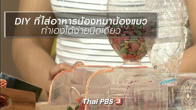 นารีสนทนา : DIY ที่ใส่อาหารน้องหมาน้องแมว ทำเองได้ง่ายนิดเดียว