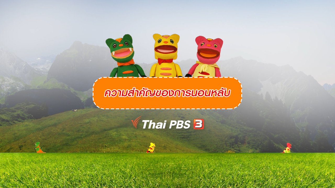 TataTitiToto ไดโนมหัศจรรย์ - เกร็ดน่ารู้กับตาต้าตีตี้โตโต้ : ความสำคัญของการนอนหลับ