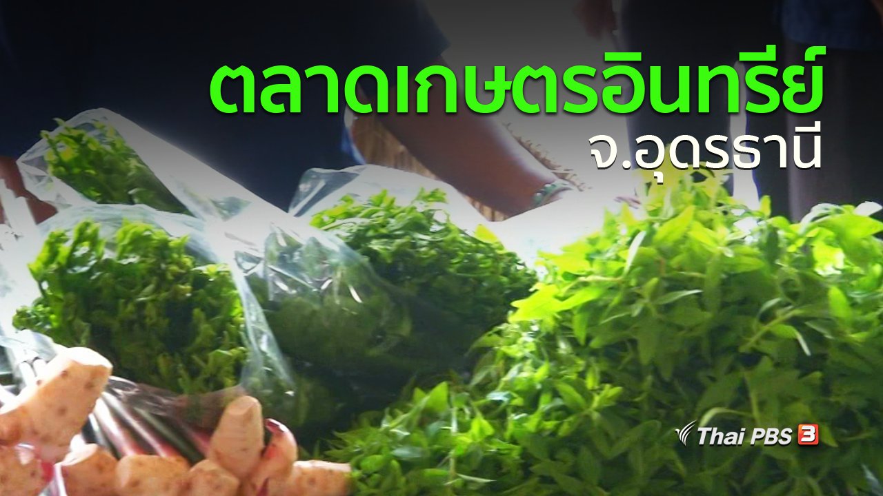 ทุกทิศทั่วไทย - ชุมชนทั่วไทย : จ.อุดรธานีเปิดพื้นที่ขายสินค้าเกษตรอินทรีย์