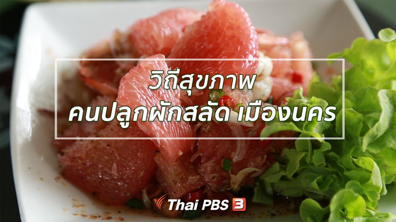 คนสู้โรค - ปรับก่อนป่วย : วิถีสุขภาพคนปลูกผักสลัด เมืองนคร