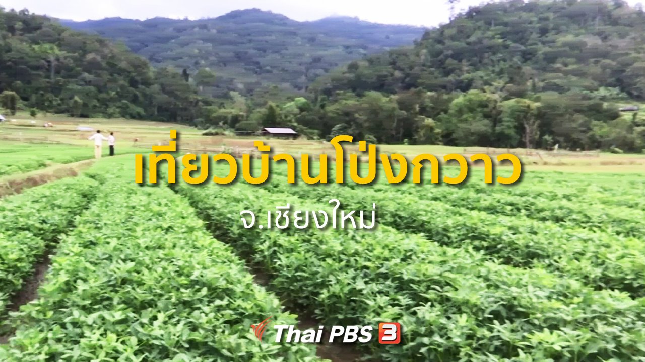 ทุกทิศทั่วไทย - ชุมชนทั่วไทย : เที่ยวบ้านโป่งกวาว จ.เชียงใหม่
