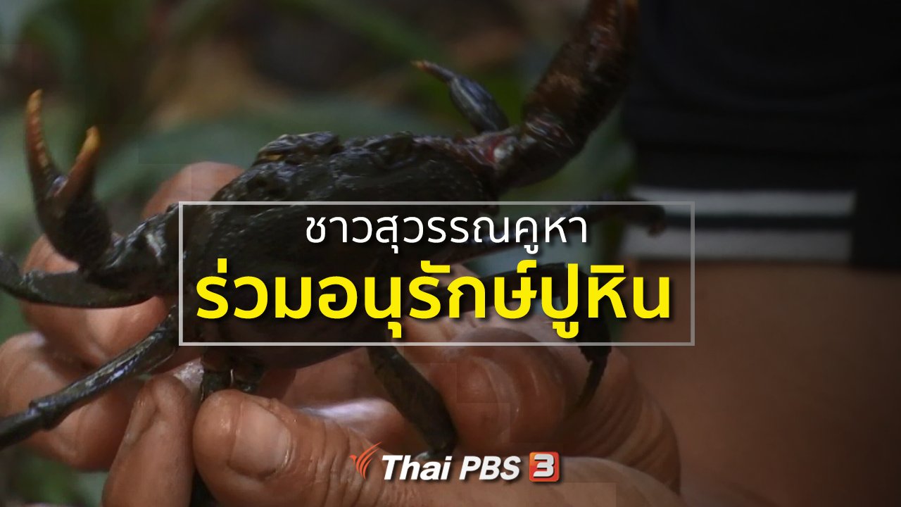 ทุกทิศทั่วไทย - ชุมชนทั่วไทย : ชาวสุวรรณคูหาร่วมอนุรักษ์ปูหิน