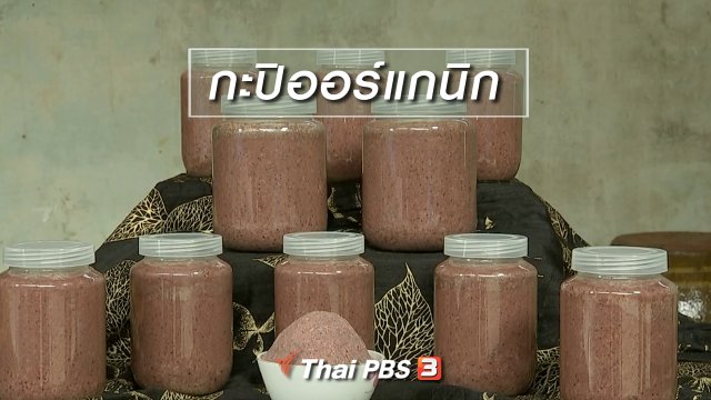 ผู้หญิงผู้สร้าง : กะปิออร์แกนิก