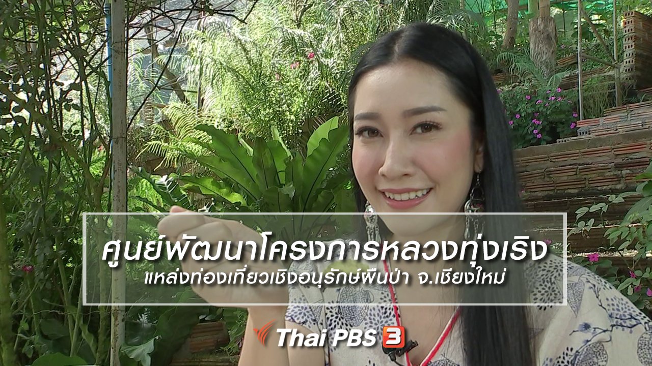 นารีกระจ่าง - นารีสนทนา : ศูนย์พัฒนาโครงการหลวงทุ่งเริง แหล่งท่องเที่ยวเชิงอนุรักษ์ผืนป่า จ.เชียงใหม่