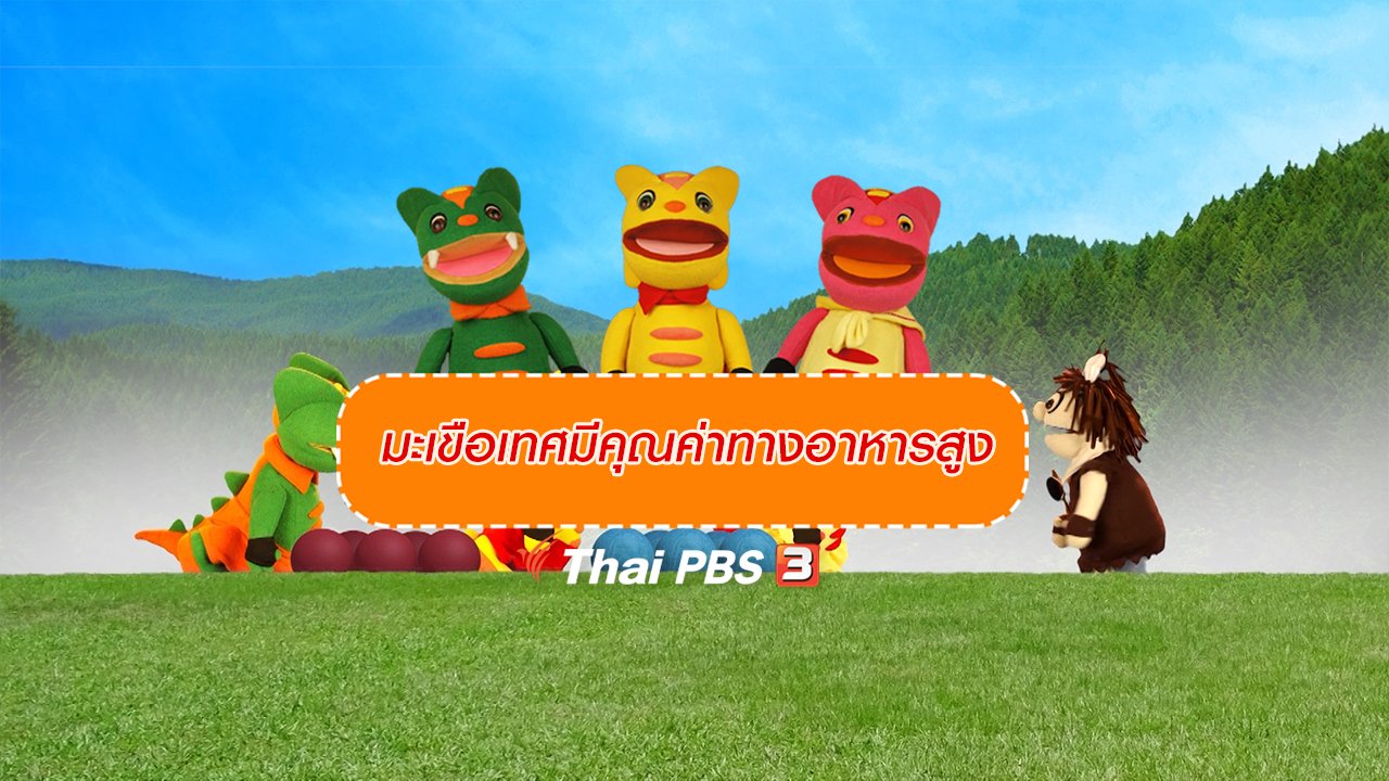 TataTitiToto ไดโนจอมป่วน - เกร็ดน่ารู้กับตาต้าตีตี้โตโต้ : มะเขือเทศมีคุณค่าทางอาหารสูง
