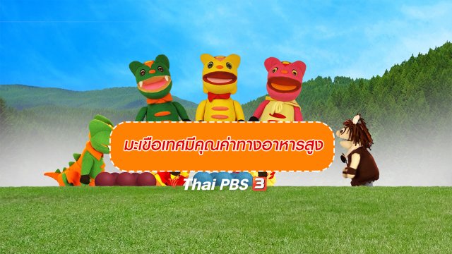 เกร็ดน่ารู้กับตาต้าตีตี้โตโต้ : มะเขือเทศมีคุณค่าทางอาหารสูง