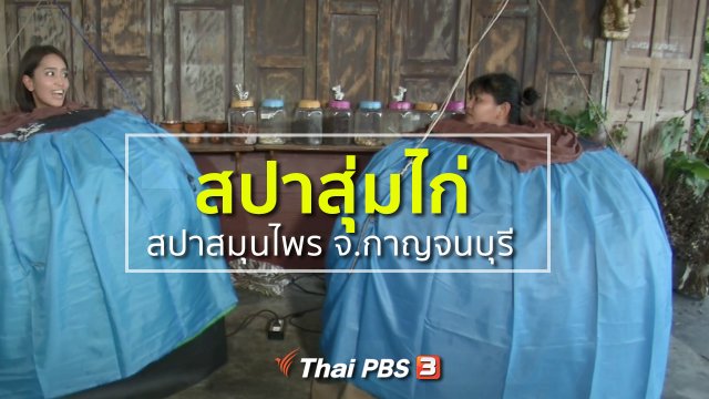 วิถีทั่วไทย : สปาสุ่มไก่ สปาสมุนไพร จ.กาญจนบุรี