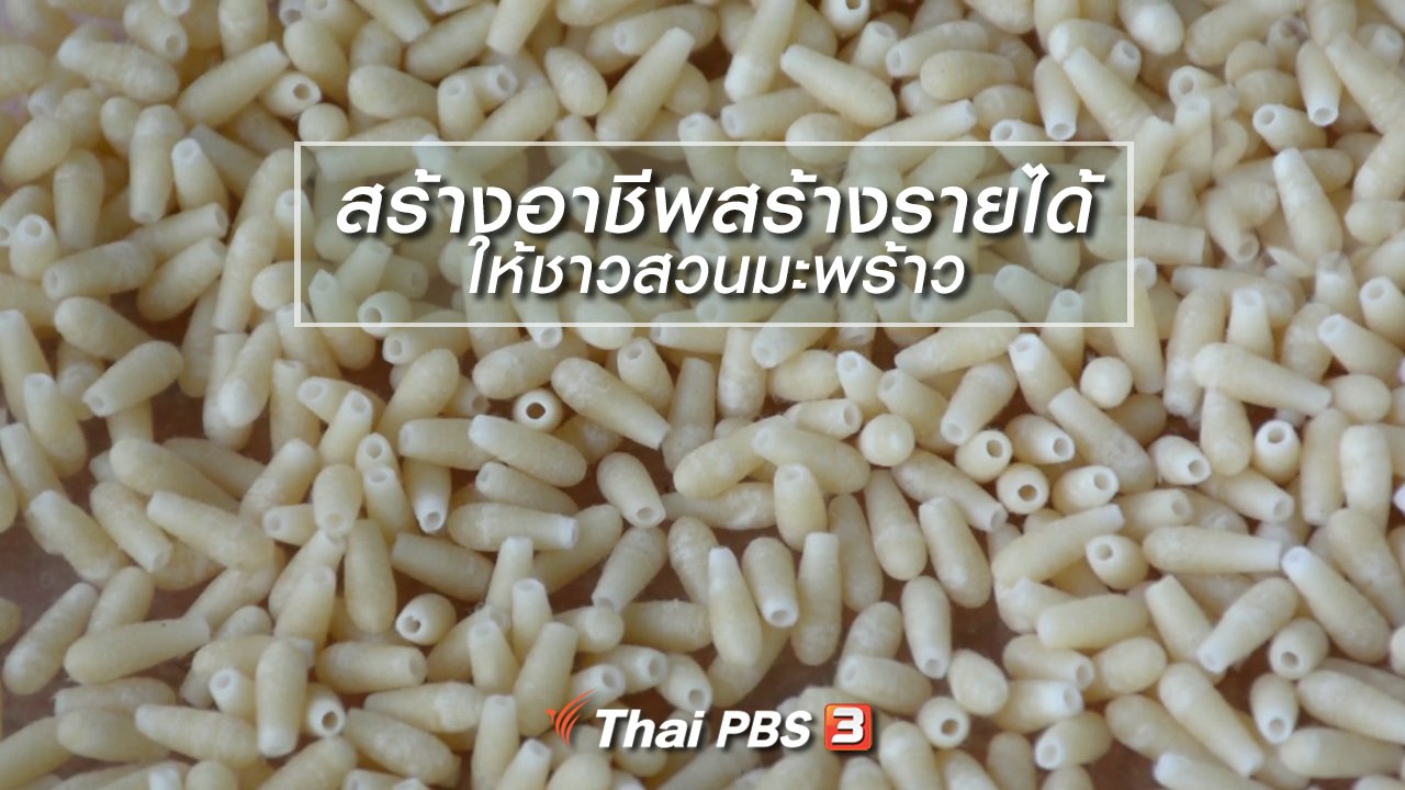 นารีกระจ่าง - นารีสนทนา : สร้างอาชีพสร้างรายได้ ให้ชาวสวนมะพร้าว