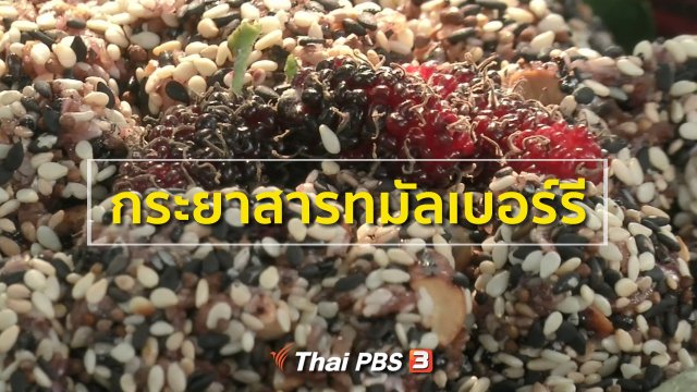 อาชีพทั่วไทย : กระยาสารทมัลเบอร์รี
