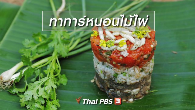 เมนูอาหารฟิวชัน : ทาทาร์หนอนไม้ไผ่