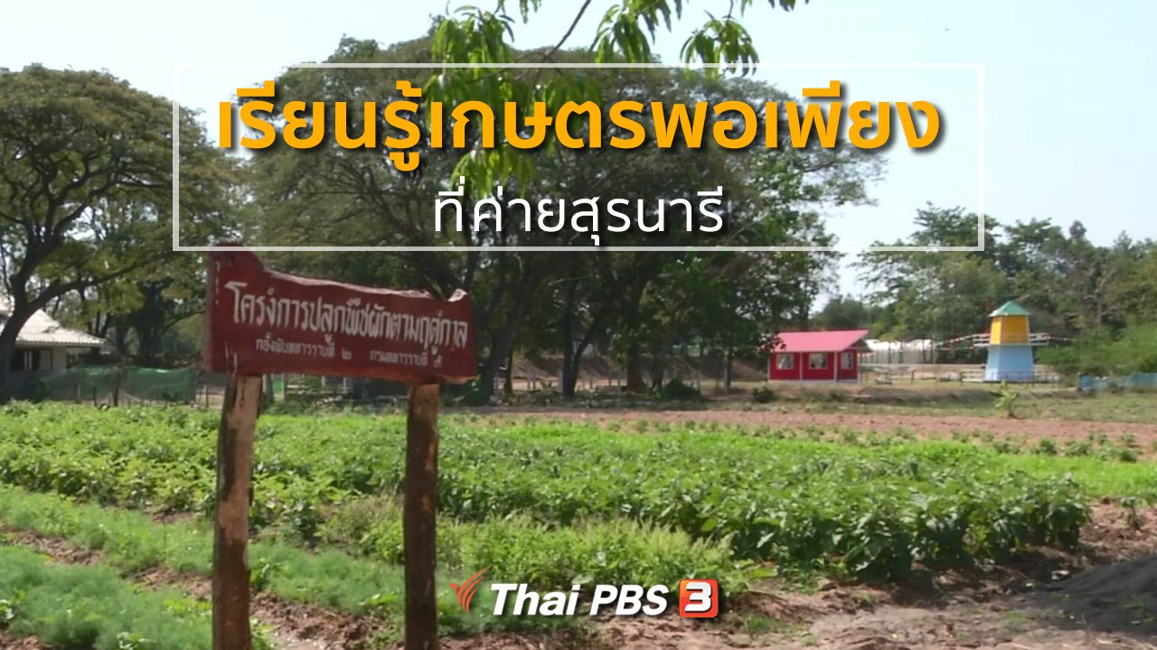 ทุกทิศทั่วไทย - ชุมชนทั่วไทย : เรียนรู้เกษตรพอเพียงที่ค่ายสุรนารี