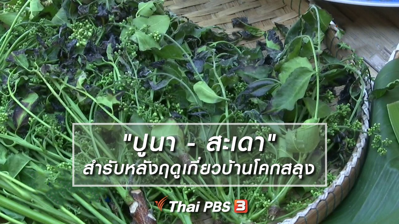 ไทยบันเทิง - อิ่มมนต์รส : "ปูนา - สะเดา" สำรับหลังฤดูเกี่ยวบ้านโคกสลุง