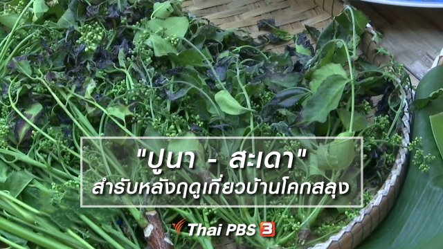อิ่มมนต์รส : "ปูนา - สะเดา" สำรับหลังฤดูเกี่ยวบ้านโคกสลุง