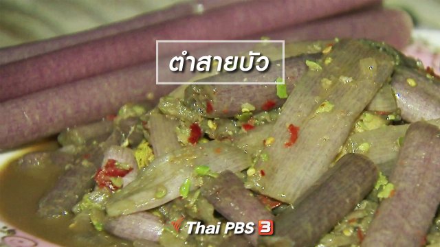 ตะลุยทั่วไทย : ตำสายบัว