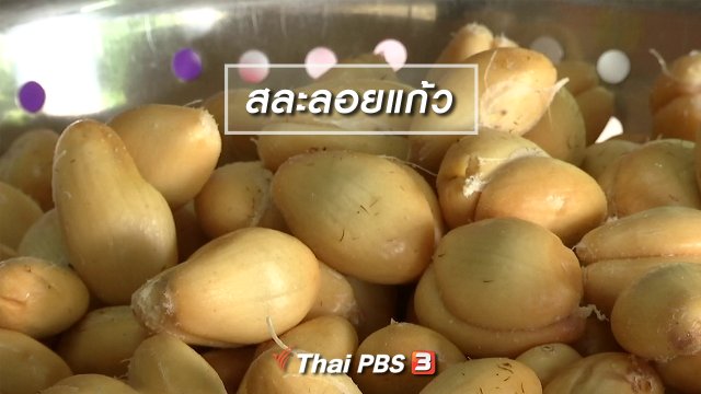 ตะลุยทั่วไทย : สละลอยแก้ว