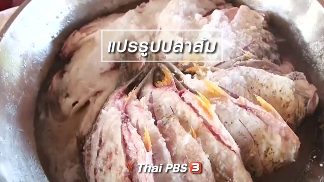 ตะลุยทั่วไทย : แปรรูปปลาส้ม