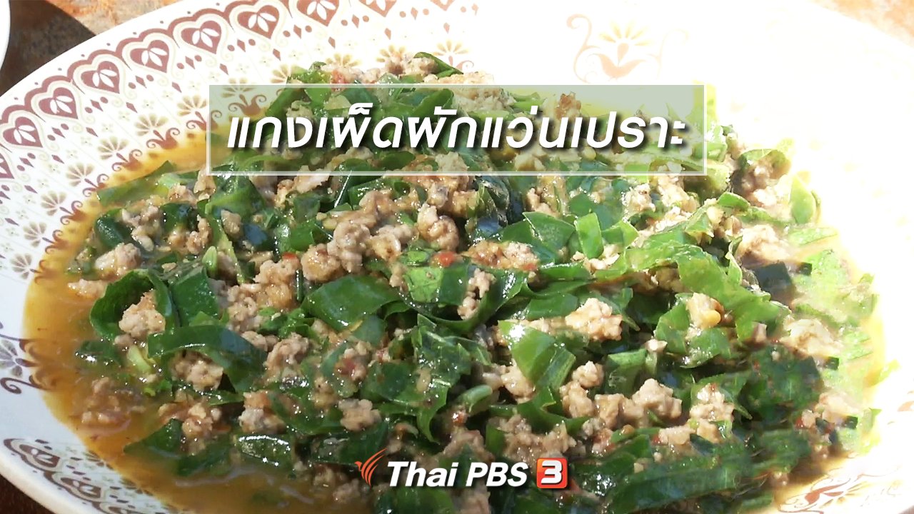 จับตาสถานการณ์ - ตะลุยทั่วไทย : แกงเผ็ดผักแว่นเปราะ