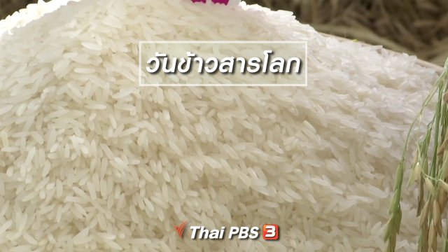 ตะลุยทั่วไทย : วันข้าวสารโลก