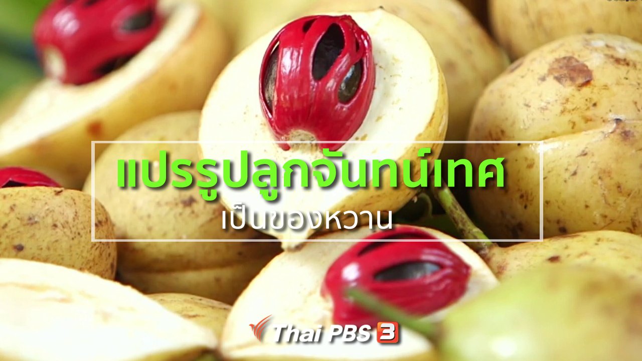 ทุกทิศทั่วไทย - อาชีพทั่วไทย : แปรรูปลูกจันทน์เทศเป็นของหวาน