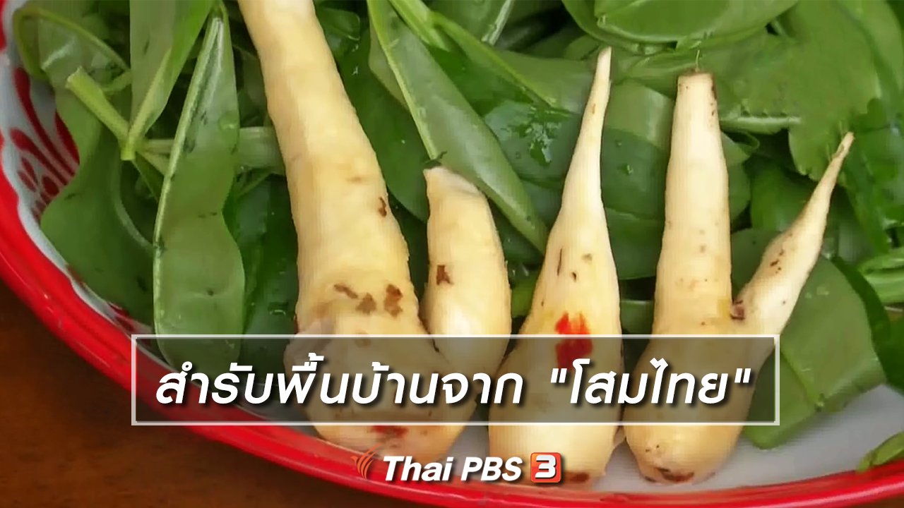 ไทยบันเทิง - อิ่มมนต์รส : สำรับพื้นบ้านจาก "โสมไทย"