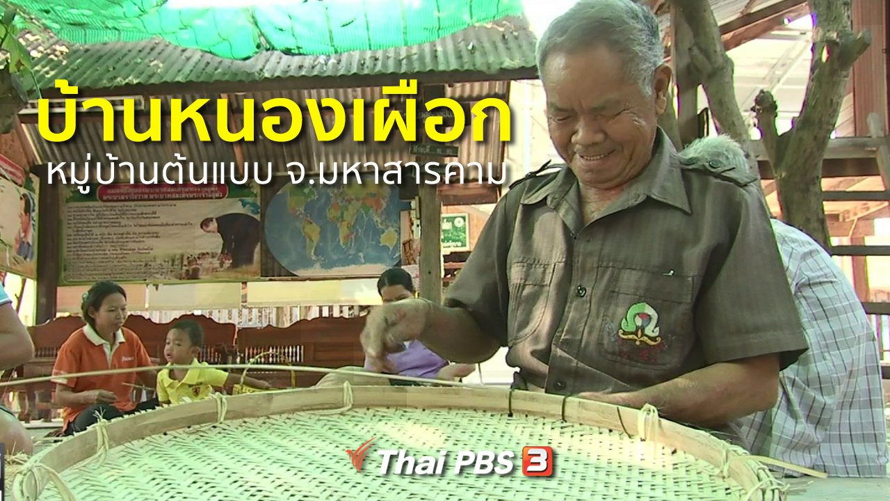 ทุกทิศทั่วไทย - ชุมชนทั่วไทย : บ้านหนองเผือก หมู่บ้านต้นแบบ จ.มหาสารคาม