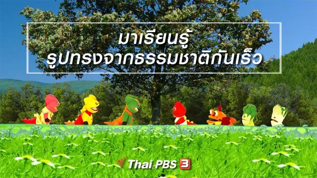 เกร็ดน่ารู้กับตาต้าตีตี้โตโต้ : มาเรียนรู้รูปทรงจากธรรมชาติกันเร็ว