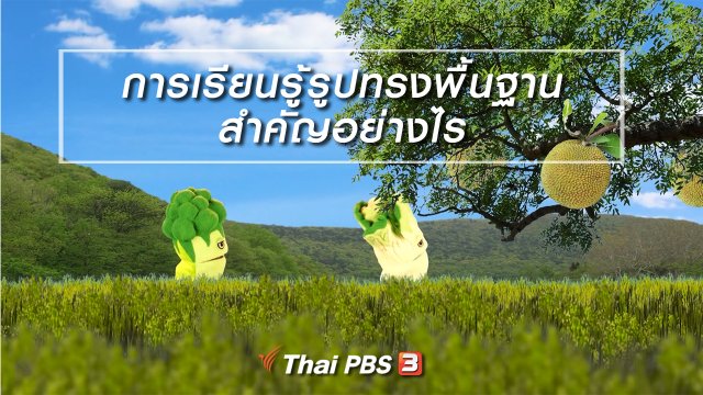 เกร็ดน่ารู้กับตาต้าตีตี้โตโต้ : การเรียนรู้รูปทรงพื้นฐานสำคัญอย่างไร