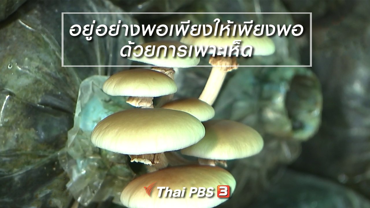 นารีกระจ่าง - นารีสนทนา : อยู่อย่างพอเพียงให้เพียงพอ ด้วยการเพาะเห็ด (11 ต.ค. 61)