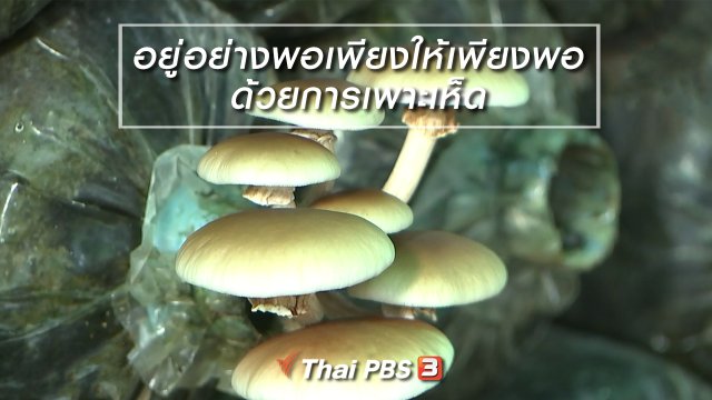 นารีสนทนา : อยู่อย่างพอเพียงให้เพียงพอ ด้วยการเพาะเห็ด (11 ต.ค. 61)