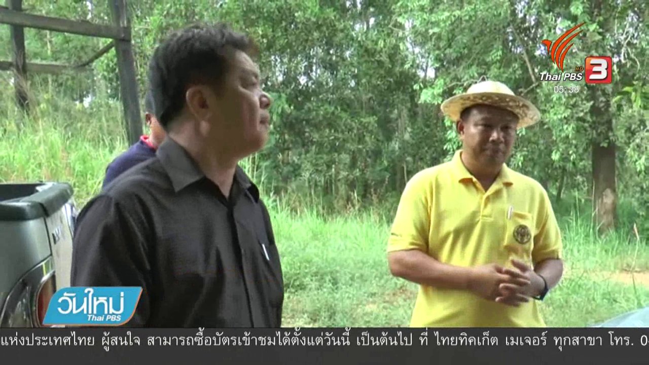 วันใหม่ ไทยพีบีเอส - ยังรักษาอาการช้างป่าบาดเจ็บถูกรถตู้ชนไม่ได้