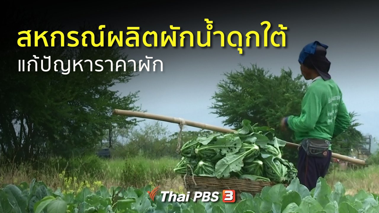 ทุกทิศทั่วไทย - อาชีพทั่วไทย : สหกรณ์ผลิตผักน้ำดุกใต้แก้ปัญหาราคาผักตกต่ำ