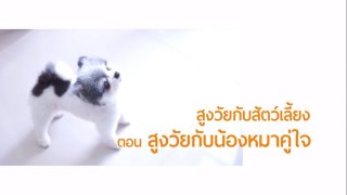 ลุยไม่รู้โรย สูงวัยดี๊ดี ห้องเรียนสูงวัย : การเลี้ยงดูสัตว์เลี้ยง