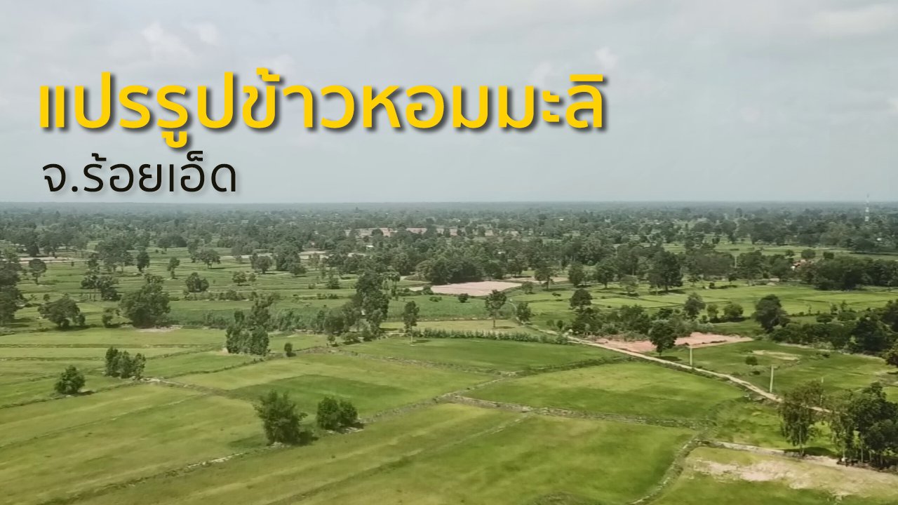 ทุกทิศทั่วไทย - ชุมชนทั่วไทย : แปรรูปข้าวหอมมะลิร้อยเอ็ด
