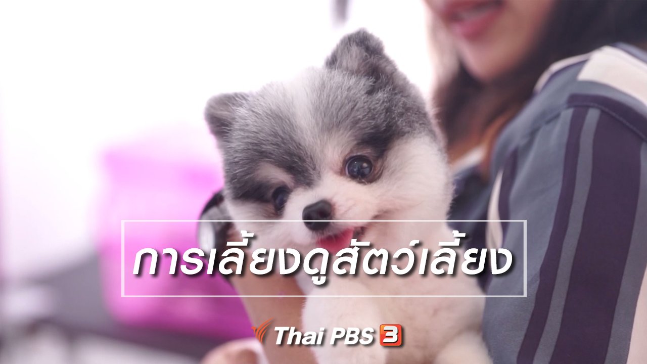 ลุยไม่รู้โรย สูงวัยดี๊ดี - ห้องเรียนสูงวัย : การเลี้ยงดูสัตว์เลี้ยง
