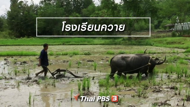 ตะลุยทั่วไทย : โรงเรียนควาย