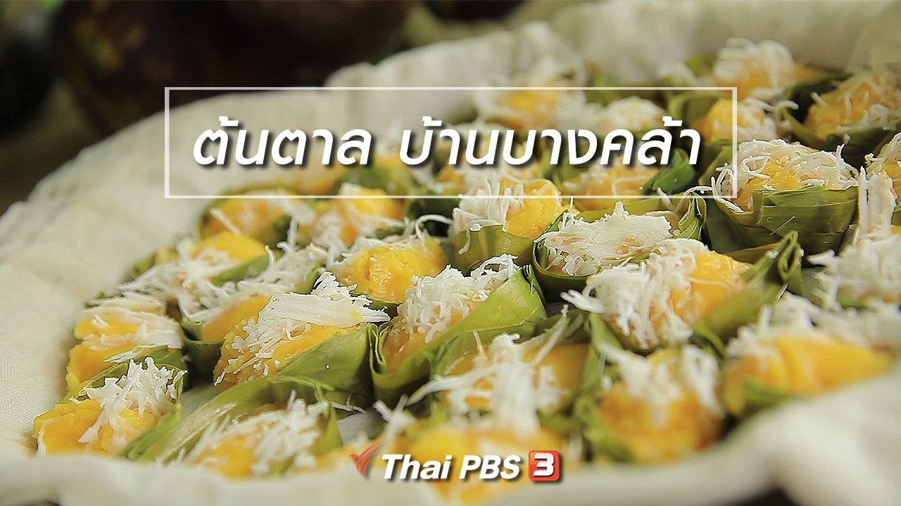 ทั่วถิ่นแดนไทย - เรียนรู้วิถีไทย : ต้นตาล บ้านบางคล้า