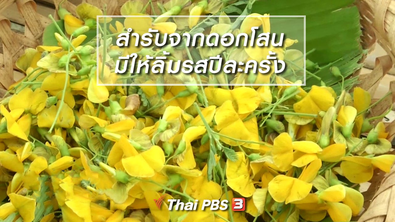 ไทยบันเทิง - อิ่มมนต์รส : สำรับจากดอกโสน อาหารพื้นบ้านมีให้ลิ้มรสปีละครั้ง